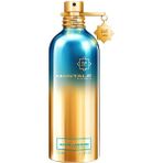 Montale Aoud Lagoon Edp 100 ml Unisex Parfüm - 001-Renkli