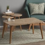 Monte Sehpa Atlantik Çam Modern Orta Sehpa ve Zigon Sehpa Seti 4 Parça 90x55 cm