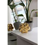 Moom Bag Kadın Gold Mika Kaplama Çiçek Desenli Abiye Çanta