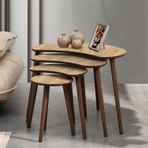 MOON 4LÜ MDF AHŞAP ZİGON SEHPA - MEŞE