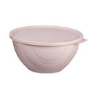 Moon Star Elegance Kapaklı Hava ve Koku Sızdırmaz Yemek Saklama Kabı 1 Litre-RBK-311 AÇIK GÜL KURUSU