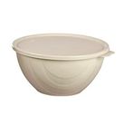 Moon Star Elegance Kapaklı Hava ve Koku Sızdırmaz Yemek Saklama Kabı 1 Litre-RBK-311 KREM