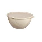 Moon Star Elegance Kapaklı Hava Ve Koku Sızdırmaz Yemek Saklama Kabı 1 Litre-Rbk-311