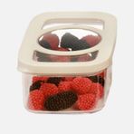 Moonstar Maximum Fresh 480 ml Saklama Kabı