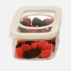 Moonstar Maximum Fresh 480 ml Saklama Kabı