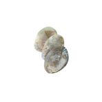 Moony Stone Sedef Deniz Kabuğu DNZKBK