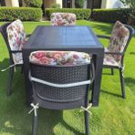 Mor Minder Sandalye Minderi Fermuarlı Lastikli 6'lı Ingiliz Gülü Desen 4 cm Sünger Alt 42X42 Sırt 42X42 - Çok Renkli - 42 X 42