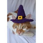 Mor Siyah Cadı Şapka Sarı Tokalı Örgü Kedi Köpek Şapkası Halloween Witch Pet Aksesuarları