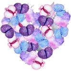 Mor ve Mavi Lithops Kalp
