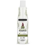 Morfose Kinoa Protein 500 ml Şampuan