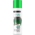 Morfose Renkli Saç Spreyi Yeşil Ever Green 150 ml Kadınlar İçin 24 Saat Etkili