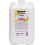 Morfose Tüm Saç Tipleri 5000 ml Şampuan