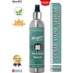 Morgan's Pomade Sea Salt Spray - Deniz Tuzu Spreyi 300 ml - Renksiz