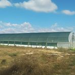 Morilu Gölgelik File - Yeşil File - Şeritli ve Halkalı -%75 gölgeleme - Sera Filesi - Kümes Çevirme Filesi - 3 M x 100 M