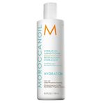 Moroccanoil Nemlendirici 250 ml Saç Bakım Kremi