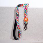 Mosaic Leash Kedi Köpek Sevk & Gezdirme Kayışı Köpek Uzatma Tasması