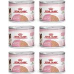 Mother & Babycat Anne Hamile Ve Yavru Kediler Için Konserve Kıyılmış Pate Yaş Mama 195 Gr X 6 Adet