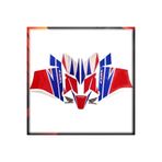 MotoExpress Honda Cbr250R 2011-2013 Eski Kasa HRC Sticker Amblem Seti