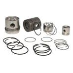 Motor Piston Segman Std 20 Düşük Palıo-albea-doblo-panda-punto-ıdea 1.3 Mtj 69.60