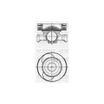 Motor Piston Segman Std Talisman 1.5 Dci 76