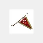 Motosiklet Bayrak Direği Ayyıldız Flama Gold