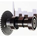 Motospartan Eksantrik Mili Atv Loncın 200 Oem