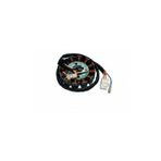 Motospartan Mondial ZC 150 ZN 125 12 Li Statör
