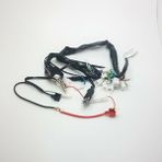 Motosvn Cg 100 Akü Beslemeli Elektrık Tesisatı