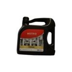 Motrio Premium 5W-30 A5 4 lt Motor Yağı