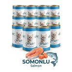 Motto Somonlu Yetişkin Kedi Konserve Mama 400 Gr. x 12 Adet