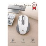 Mouse Çift Modlu Sessiz Kablosuz Oyuncu Fare Tm20 Beyaz Gri