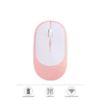 Mouse Usb Ve Bluetooth Bağlanti Çift Modlu Şarjli Sessiz Kablosuz Fare Tm16