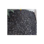 Moyashop By Tuna Kuruyemiş Papağan Siyah Çekirdek Yemi Kuş Yemi 1 Kg