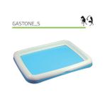 MP 48x38x4 cm Gastone Köpek Çiş Eğitim Pedi