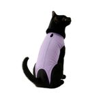 MPZ PETS Kedi ve Köpek Kıyafeti & Elbisesi Lila Medikal Veteriner Çıkışı Tulum Bej M