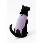 MPZ PETS Kedi ve Köpek Kıyafeti & Elbisesi Lila Medikal Veteriner Çıkışı Tulum Bej XL