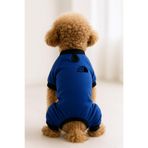 MPZ PETS Kedi ve Köpek Kıyafeti & Elbisesi Saks Mavi 4 Bacak Tulum The Dog Face S
