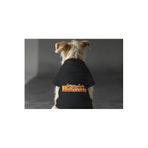 MPZ PETS Kedi ve Köpek Kıyafeti & Elbisesi Siyah Sweatshirt Hallowen S