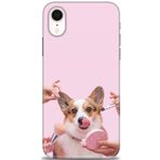 MRCİLETİSİM (mrc11463) Tam Ekran Koruyucu Kılıf HD Baskılı Kılıf Sevimli Köpek iPhone XR ile uyumlu