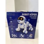 Mrs- 6601 Uzk Kumandalı Dans Edebilen Robot Köpek -548484 - BELİRTİLMEMİŞ