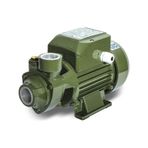 Mrs-Max QB70 0.75 HP 1'' Elektrikli Su Motoru Pompası