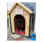 MSAY Köpek kulübesi küçük ırklar icin