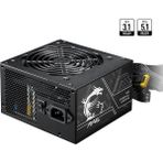 MSI MAG A750BN PCIE5 II Gen 5.1 750 W Power Supply