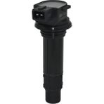 Msr Cf Moto Nk 250 Ateşleme Bobini - Siyah - Standart