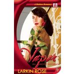 MSR Nt 040818053300 Quick Vapor Tava
