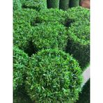 Msy Garden Fenc 100 cm x 8 mt Çim Çit Bahçe Teli Çimli Çit Teli Tel Örgü - Yeşil
