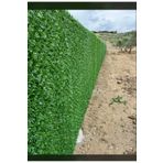 Msy Garden Fenc Dekoratif Çim Çit Paneli 140 cm x 5 mt - Bahçe Duvarı Gizleme ve Gölgelik Yapay Sarmaşık Panel