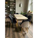 Msy Home 6 Kişilik Ay Serisi Gold Kelebek Traverten Kelebek Yemek Masası Takımı - Çok Renkli