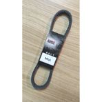 MTYL RKS Rosa 50 (ARKA KAMPANA FREN) İçin Gr;i Bando Kayış