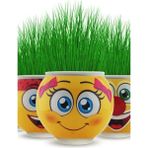Muçis Emoji Çim Adam 5 Adet - 01-Mavi